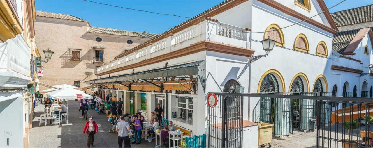 Alameda Mercado De Feria I - 2 Habitaciones Y 2 Banos 塞维利亚 外观 照片